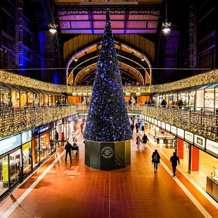 Family-friendly shopping and daily life in United States