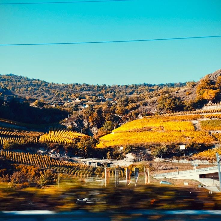 Kids playground area in United States